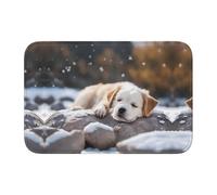 Bordo di blocco tappetino orlo 40x60 YYHWHJDE Dog on the Rock modello antiscivolo gocciolamento modellato fondo, ideale facile da pulire e resistente allo sbiadimento