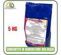 BORDOLESE POLTIGLIA 20 BIOLOGICO 1KG IN POLVERE A BASE DI RAME E BORO SOLUBILE