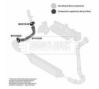 BORG & BECK BTH1038 Flessibile aria alimentazione