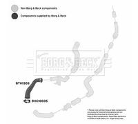 BORG & BECK BTH1303 Flessibile aria alimentazione per FORD