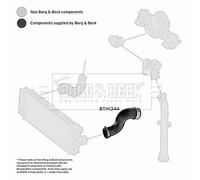 BORG & BECK BTH1344 Flessibile aria alimentazione per MERCEDES-BENZ