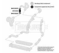 BORG & BECK BTH1513 Flessibile aria alimentazione per FORD,SEAT,VW