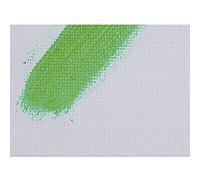 Borgione Cartone telato cm 50x70 5 pz