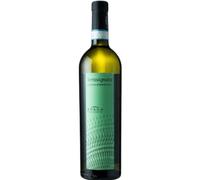 Borgo di Paglianetto Terravignata Verdicchio di Matelica Doc 2024