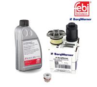 BorgWarner