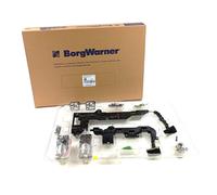 Borgwarner 202383 DL501 Kit Servizio per DSG S-tronic Audi A4 A5 A6 A7 Q5 RS4
