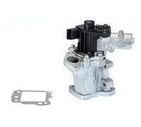 BorgWarner 710975D Valvola EGR