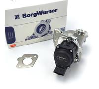 BorgWarner 711021D Valvola AGR Per Citroen 1.6 HDI Fiat 1.6 D Ford 1.6 TDCI