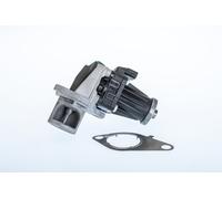 BorgWarner AGR-VALVOLA Elettrica Per Dacia Lodgy 1.5 dCi Dokker Renault Clio IV