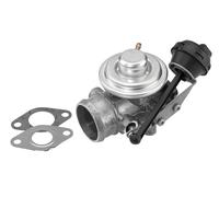 BorgWarner AGR-VALVOLA Pneumatica Per Audi A2 1.4 TDI VW Lupo Arosa
