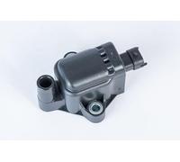 BorgWarner (BERU) Bobina d'accensione 12V Sistema Di Accensione ZS593
