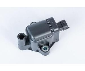 BorgWarner (BERU) Bobina d'accensione 12V Sistema Di Accensione ZS593