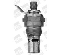 BorgWarner (BERU) Candeletta 8V 16A GF859