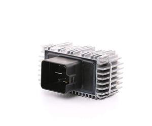 BorgWarner (BERU) GSE143 Centralina Tempo incandescenza nero