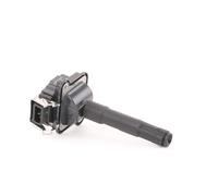 BorgWarner (BERU) ZS016 Bobina d'accensione 12V per VW Golf IV Schrägheck (1J1)