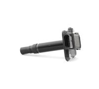 BorgWarner (BERU) ZSE009 Bobina d'accensione 12V per VW Golf IV Hatchback (1J1)