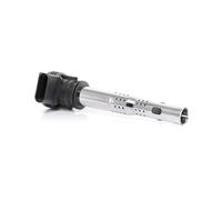 BorgWarner (BERU) ZSE033 Bobina d'accensione 12V per VW GOLF VI (5K1) CC (358)