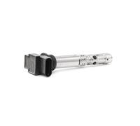 BorgWarner (BERU) Bobina d'accensione compatibile con SEAT SKODA VW VAG ZSE059