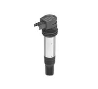 BorgWarner (BERU) ZSE229 Bobina d'accensione