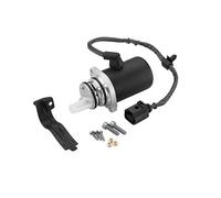BorgWarner DS118622 Pompa, accop. lamellare (trazione integrale) per VW