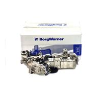 BorgWarner EGR Modulo per BMW 1er 2er 3er 4er 5er 11718513691