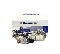 BorgWarner EGR Modulo per BMW 1er 2er 3er 4er 5er 11718513691