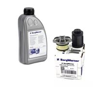 BorgWarner Filtro Idraulico Haldex Ingranaggio Lamellare 0,85 Litri Olio per VW