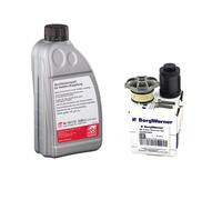 BorgWarner Filtro Idraulico per Pompa Precarico