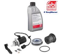 BorgWarner Haldex Frizione Pompa Precarico Filtro Olio + Olio per VW T5 2.5 Tdi