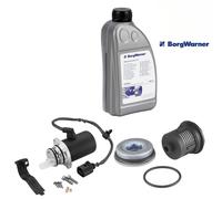 BorgWarner Haldex Frizione Pompa Precarico Filtro Olio per VW T5 2.5 Tdi 4motion