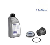 BorgWarner Haldex Kit Filtro Olio 0,85L Olio per VW T5 2.5 TDI 4motion
