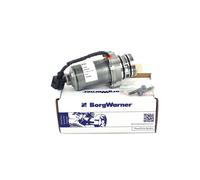 BorgWarner Pompa Precarico DS119088 per Land Rover Discovery Freelander Range