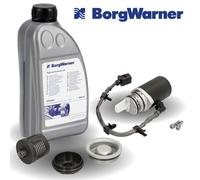 BorgWarner Set Pompa Precarico Filtro Olio Antriebsöldruckpumpe Allrad