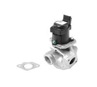 BorgWarner Valvola AGR Elettrica Per Ford Fiesta VI Focus C-Max 1.6 TDCi