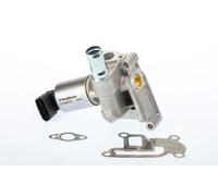 BorgWarner Valvola AGR Elettrica Per Opel Corsa C 1.2 1.0 Agila (A)