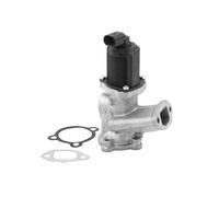 BorgWarner Valvola AGR Elettrica Per Opel Corsa D 1.3 CDTi Astra H Fiat Doblo
