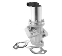 BorgWarner Valvola AGR per Hyundai H-1 Kasten H-1 Starex 2.5