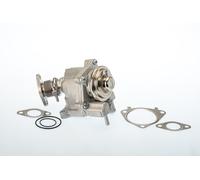 BorgWarner Valvola AGR Pneumatica Per Fiat Ducato Furgone 160 Multijet 3.0 D