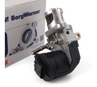 Borgwarner Valvola EGR Elettrico per BMW 1er 2er 3er 5er 6er 7er X1-X6 1995 Ccm