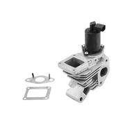 Borgwarner Valvola EGR Elettrico per Renault Scénic II 1.9 DCI Megane