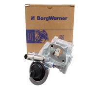 Borgwarner Wahler 710532D0 Valvola EGR Ricircolo Gas per Renault 1.6 DCI