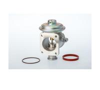 Borgwarner (Wahler) 710924D Valvola AGR Per BMW E81 E87 E90 E91 E92 E93 E60