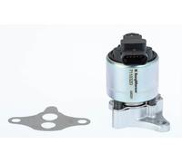 BorgWarner (Wahler) Valvola AGR Elettrica Per Peugeot 206 CC 2.0 S16 307