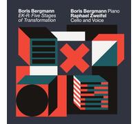 Boris Bergmann; Raphael Zweifel - EK-R: Five Stages of Transformation