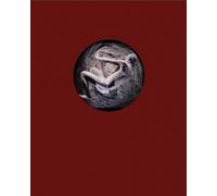 Boris Groys THE VOID (Copertina rigida)