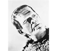 Boris Karloff As The Monster Da F Poster Stampa 61x50.8cm Bellissimo Immagine