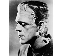 Boris Karloff Come Il Mostro Da F Poster Stampa 24x20" Immagine Bella 160737