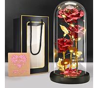 BoriYa Regali San Valentin per Lei - Rosa Eterna - Rose Eterne con LED Luce, Rosa Bella e la Bestia in Vetro,Rose Stabilizzate per Idee Regali Donna, Regalo Compleanno per Lei,Festa Della Mamma Regalo