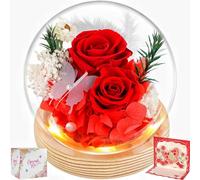 BoriYa Regalo Donna Rosa Stabilizzata, Rosa Eterna, Regali per Mamma, Rose Fiori Stabilizzati Vera, Piccole Rosà Stabilizzate Vere in Vetro con LED Luci, Idee Regali Lei per Compleanno, Anniversario