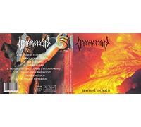 Borknagar - Rebel Souls